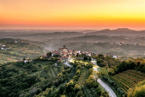 brda wijnstreek|TOP Wine Experience in Goriška Brda